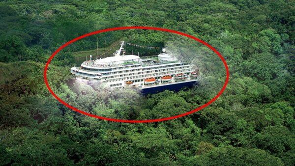 Backpacker Discovers Hidden Ship in the Jungle